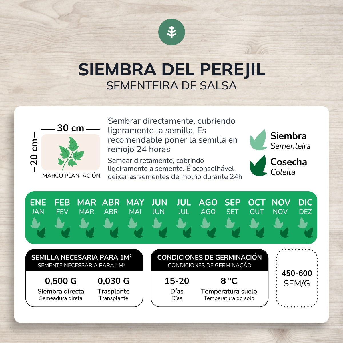 Bio-Saatgut der gewöhnlichen breitblättrigen Petersilie Planeta Huerto