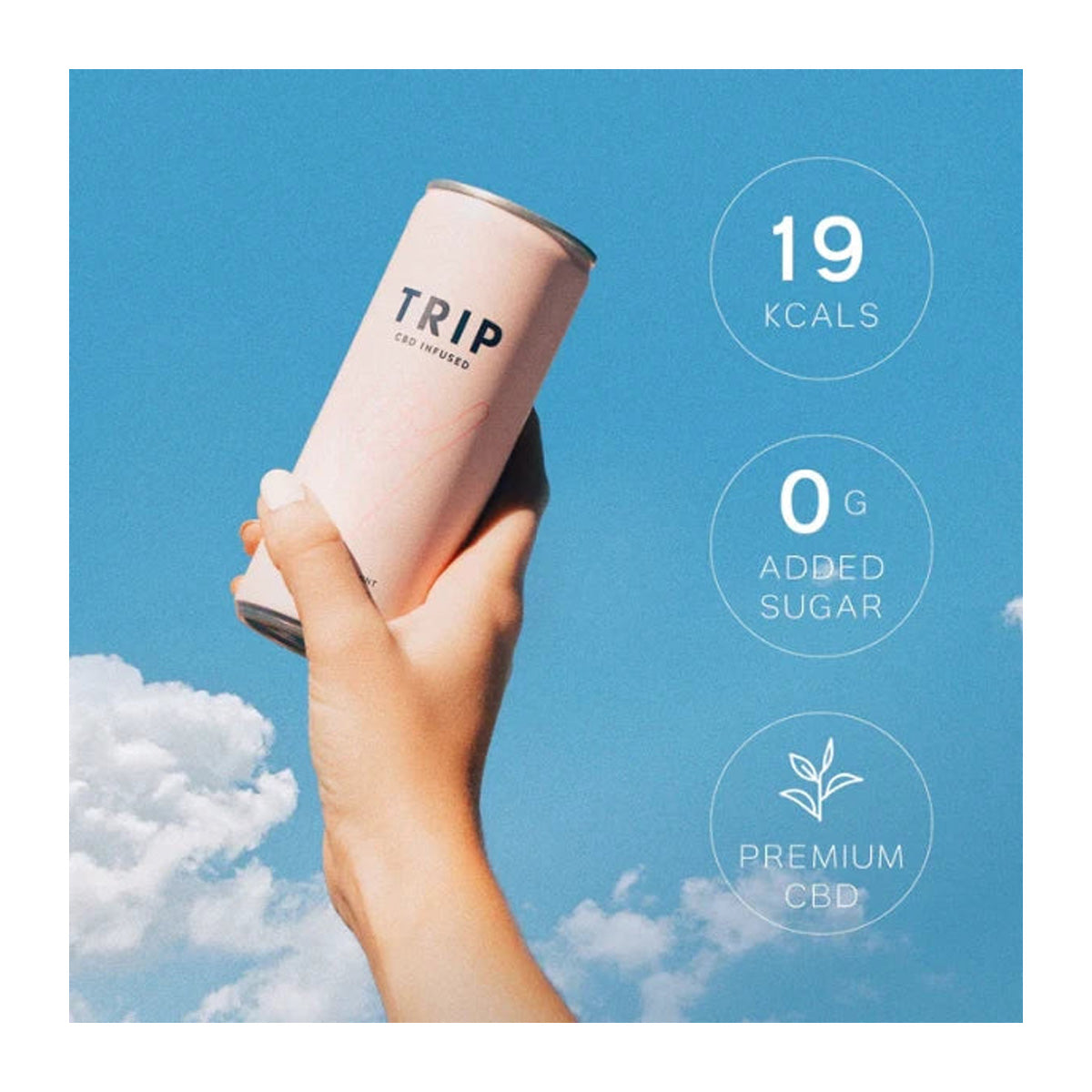 Flor de Saúco y Menta TRIP 250 ml