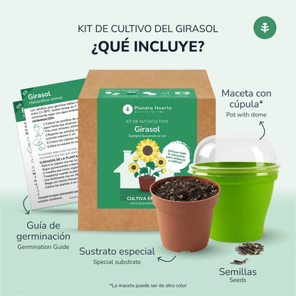 Kit per l'autocoltivazione del girasole Planeta Huerto