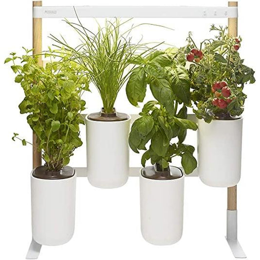 Prêt à Pousser Indoor Garden MODULE