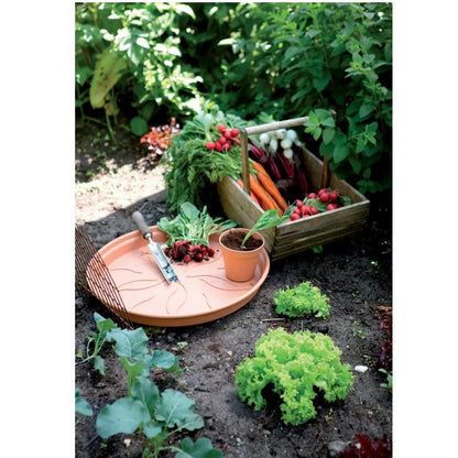 Bloempot Green Basics Elho Terra 17 cm