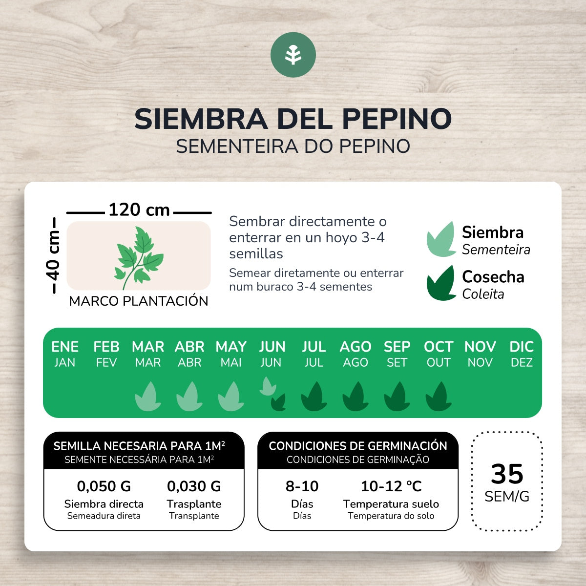 Bio-Gurkensamen marketmore Planeta Huerto