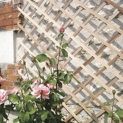 Rozkładana drewniana kratka Trelliwood Nortene 0,5 x 1,50 m