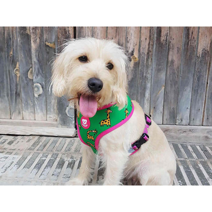 Odwracalna uprząż dla psa SAVANA Dukier M