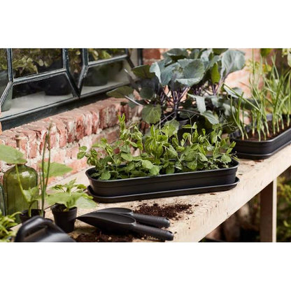Green basics Elho Anthracite S growing tray