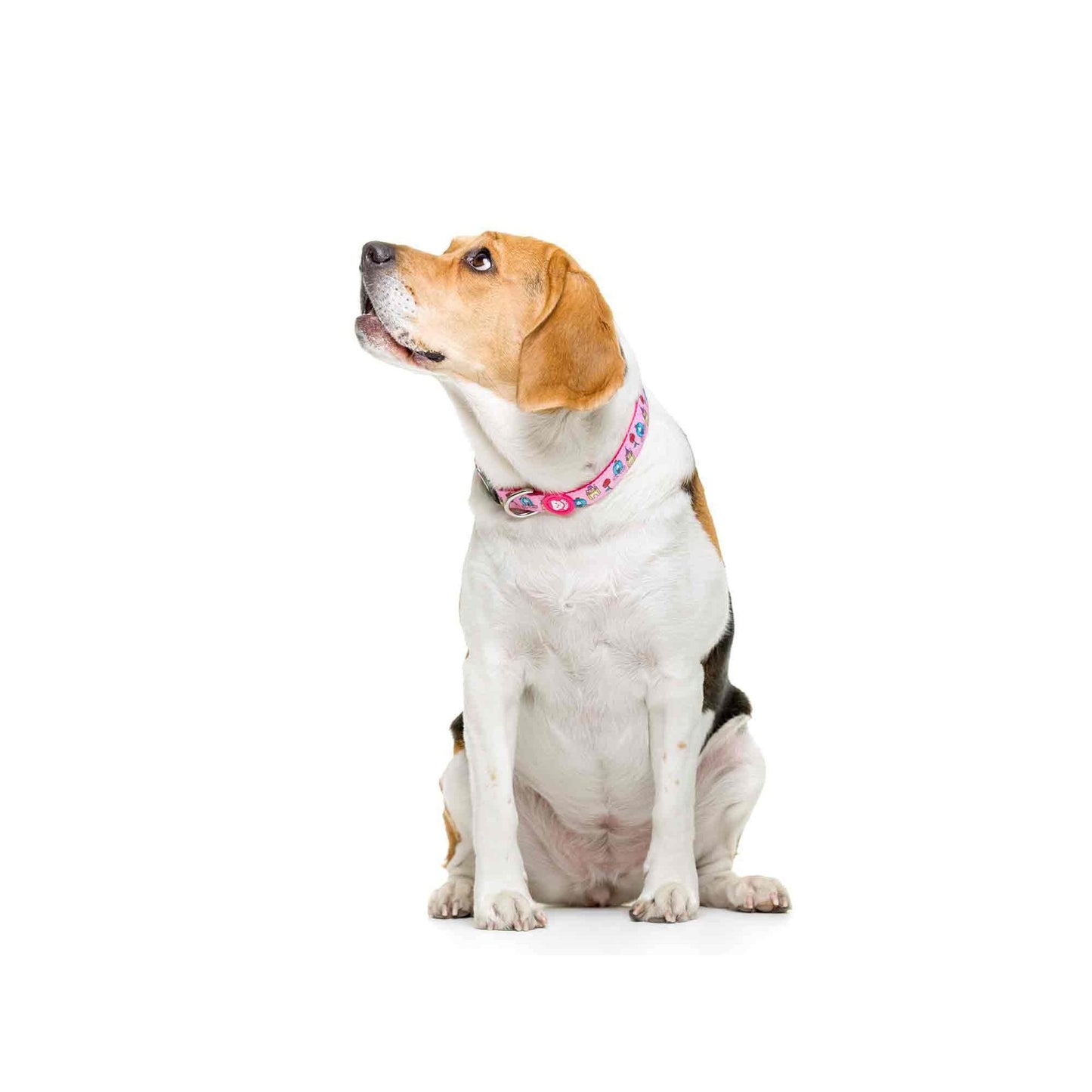 Obroża dla psa PRINCESS Dukier M