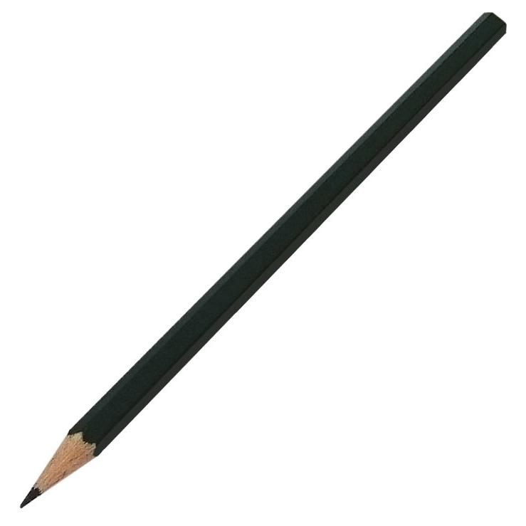 Zinken labels 25 cm Biotop – 10 stuks + potlood voor moestuin en tuin