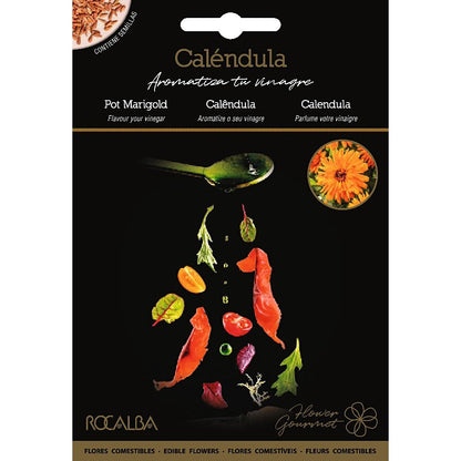 Essbare Blumensamen von Ringelblume Rocalba