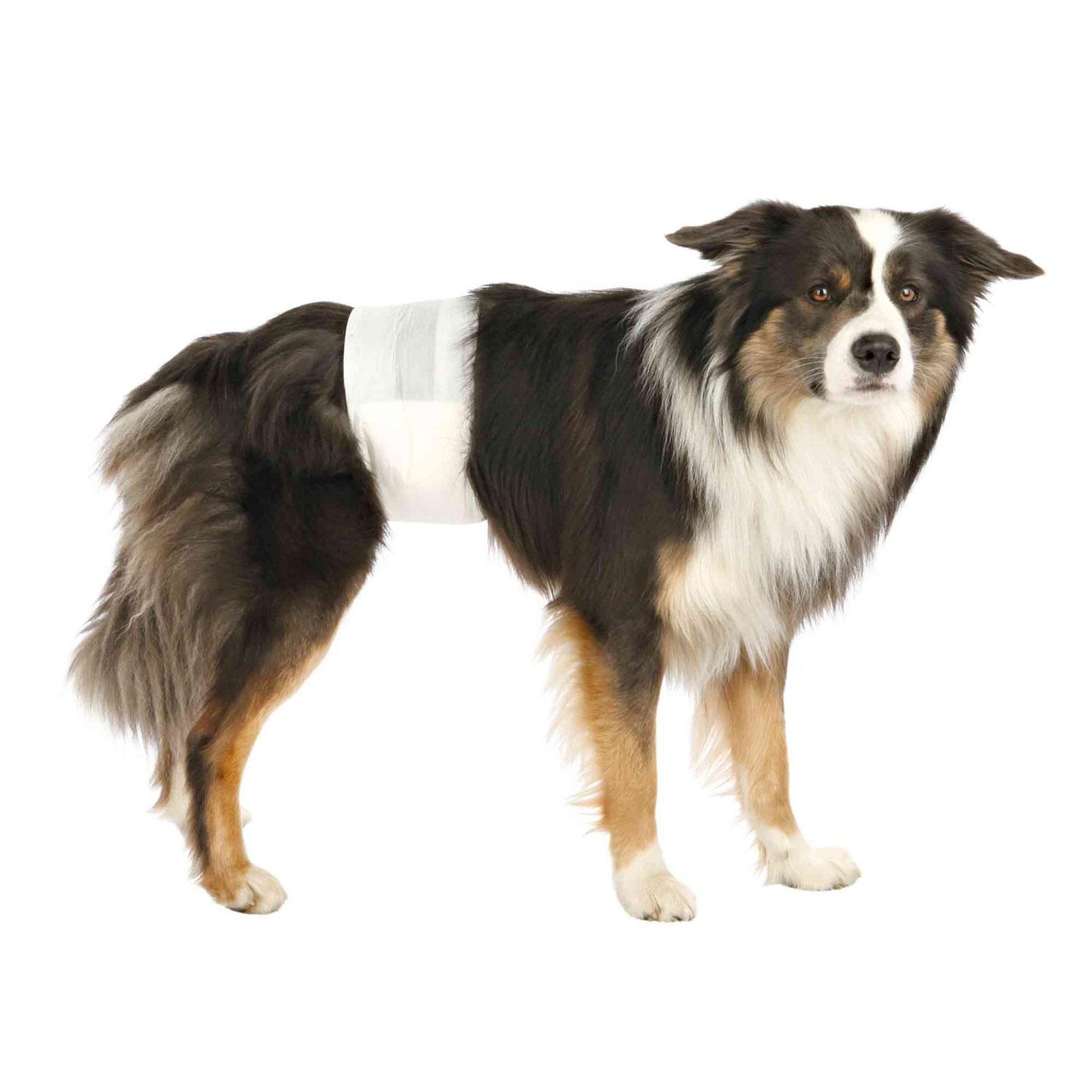 Trixie 12 Hundewindeln für Rüden S-M 30-46 cm