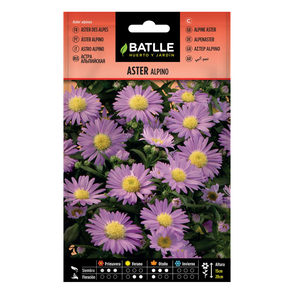 Graines d'aster alpin Batlle