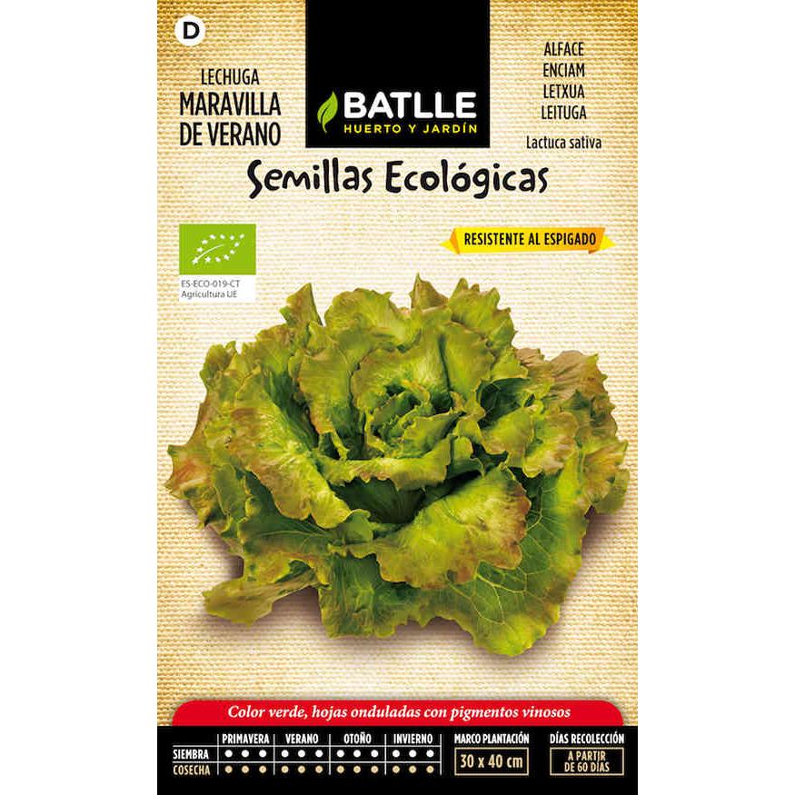 Ekologiska frön av sommarsallad