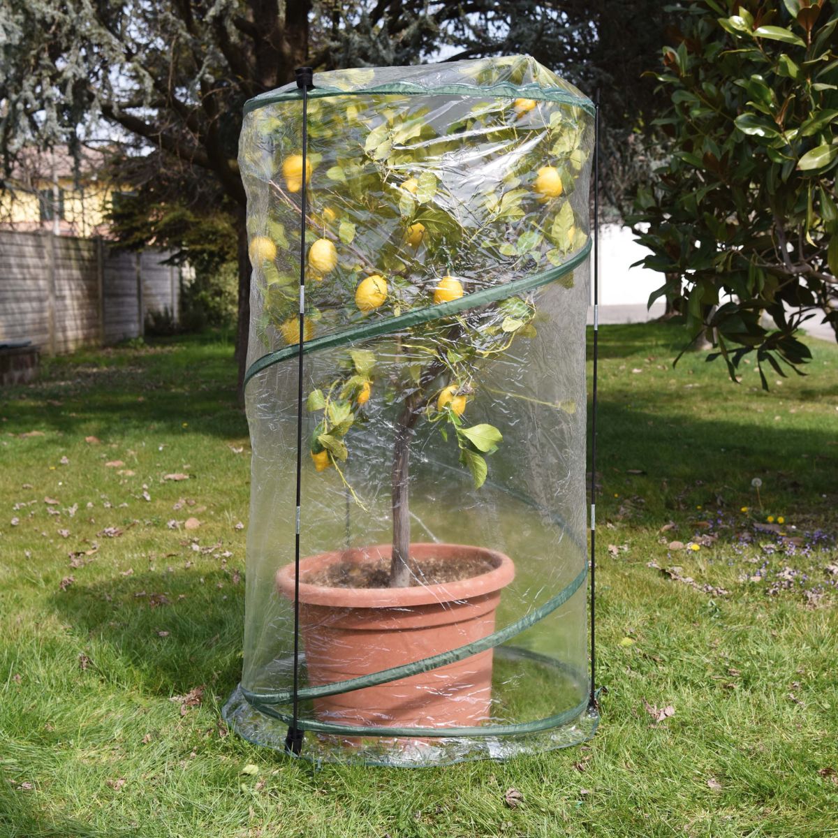 Pop-up-Gewächshaus Verdemax ø 70 x 110 cm