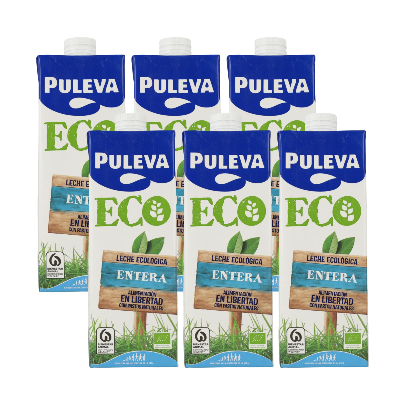 Packung mit 6 Einheiten Puleva Bio-Vollmilch, 1 l