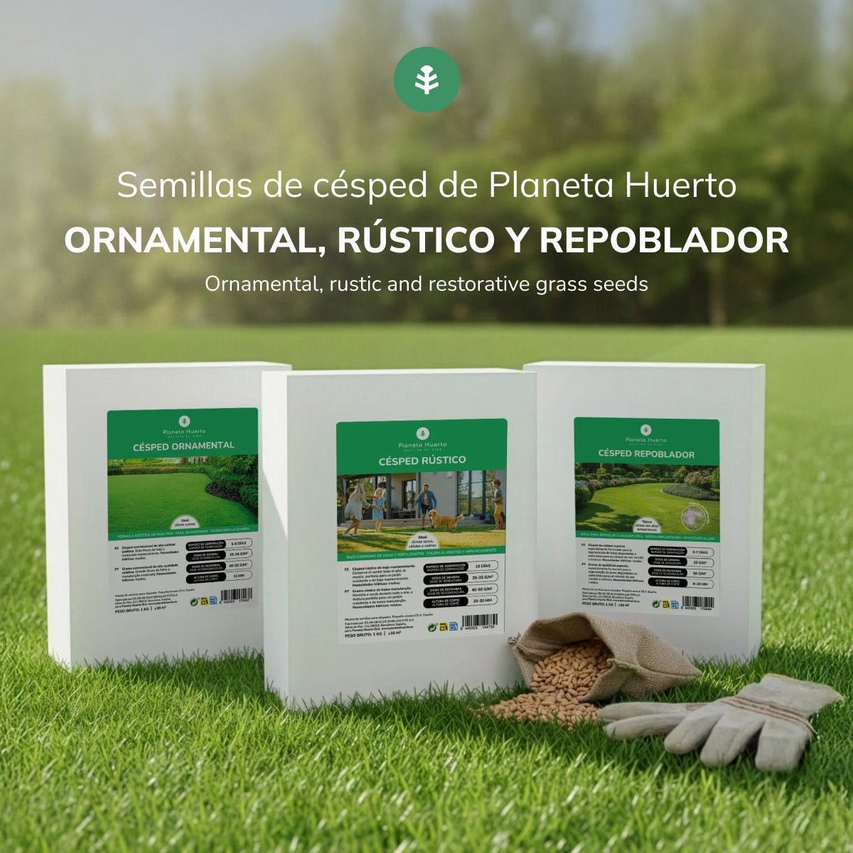 Wiederbefruchtungsgras-Samen Planeta Huerto 1 kg