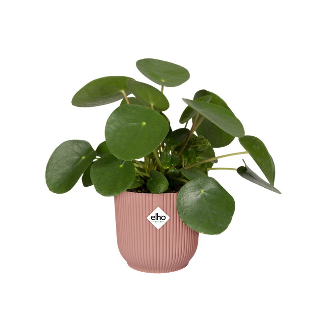 Bloempot vibes fold round delicate pink Elho 25 cm