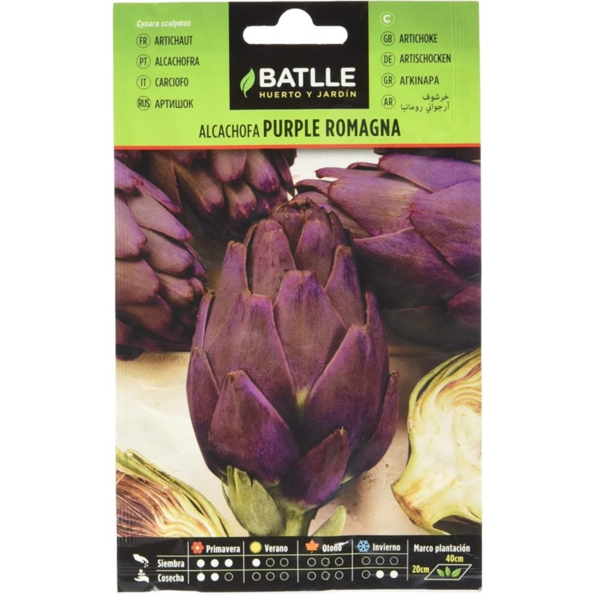 Purpurromagna-kronärtskocksfrön Batlle