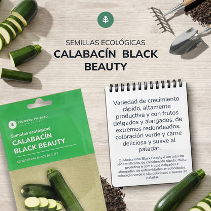 Semi di zucchine biologici Black Beauty Planeta Huerto