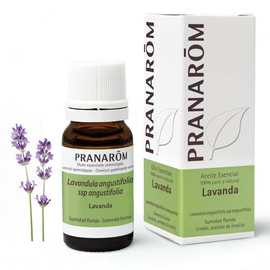 Pranarôm Lavender Essential Oil 10 ml