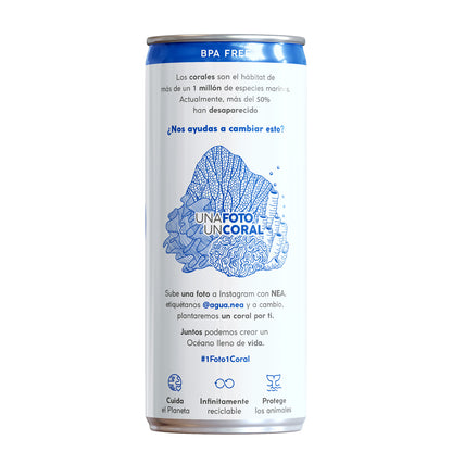 Eau minérale naturelle en canette NEA 330 ml