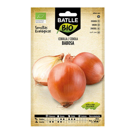 Ausgewählte Bio-Zwiebelsamen Babosa Batlle