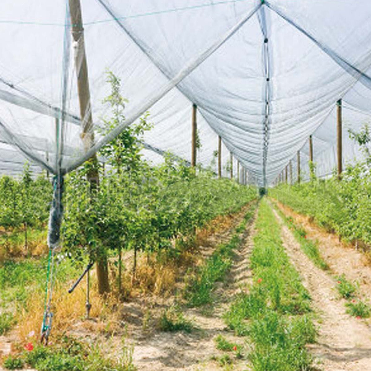 Malla anti granizo Verdemax 4 x 10 m