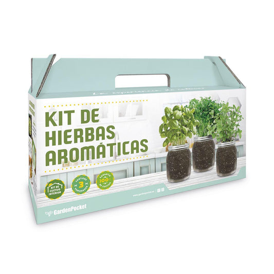 Kit de culture d'intérieur d'herbes aromatiques : origan, coriandre et menthe