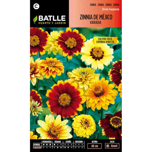 Zaden van Mexicaanse zinnia, gemengd Batlle