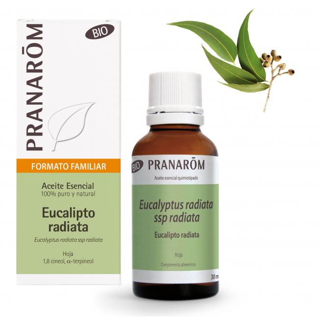 Ätherisches Öl Eukalyptus Radiata Blatt Bio Pranarom 30 ml
