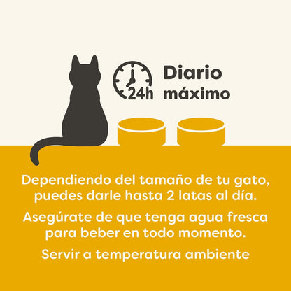 Applaws Cat Dose Huhn und Ente 70 g Natürliches getreidefreies Nassfutter für Katzen