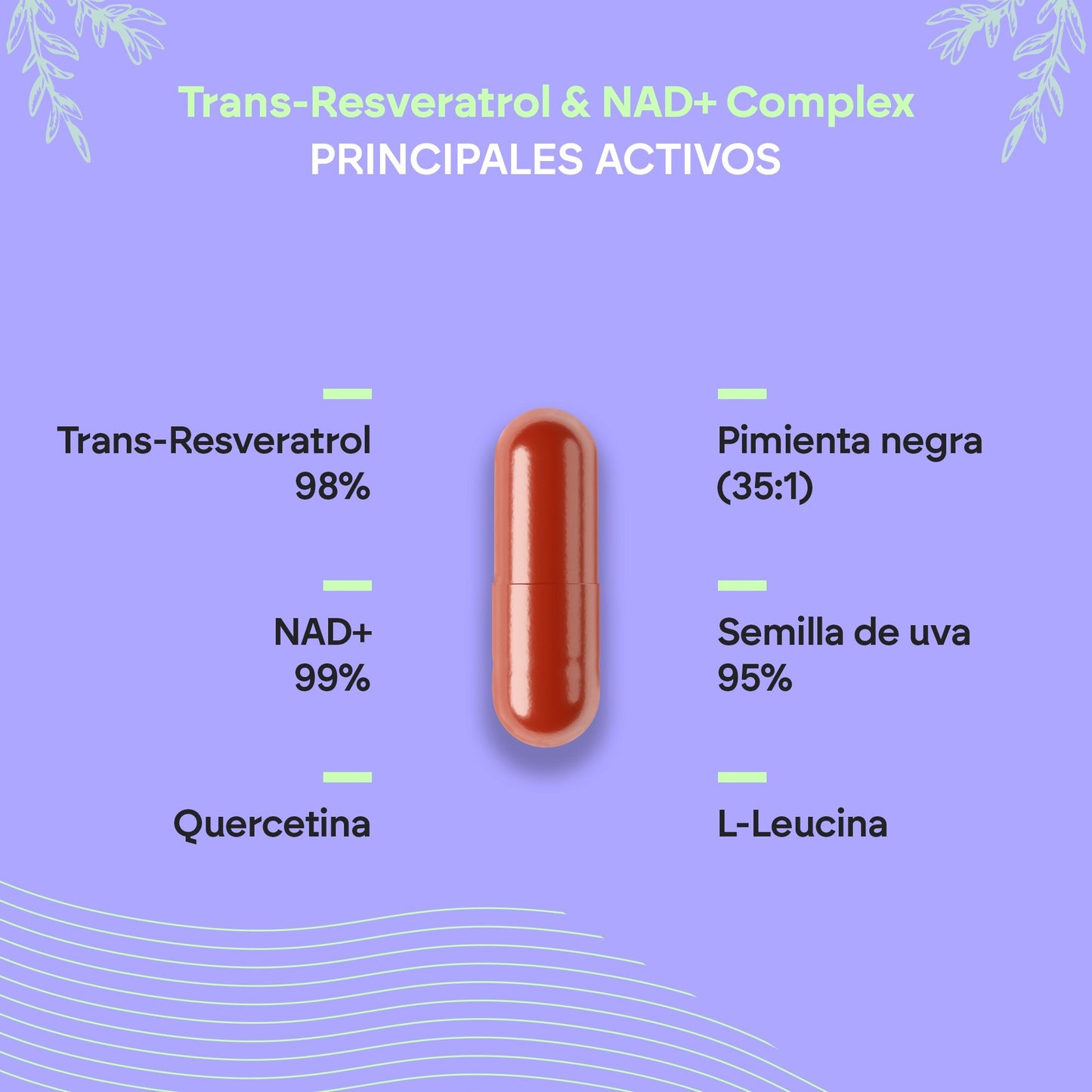 Nutralie Trans Resveratrol en NAD+ Complex 686 mg 60 capsules