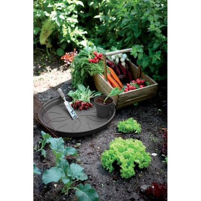 Green Basics Elho antraciet schaal 25 cm