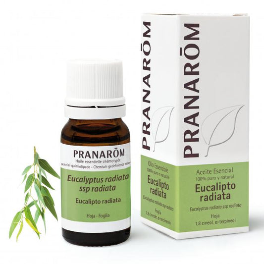 Pranarôm Eucalyptus Radiata Essential Oil 10 ml