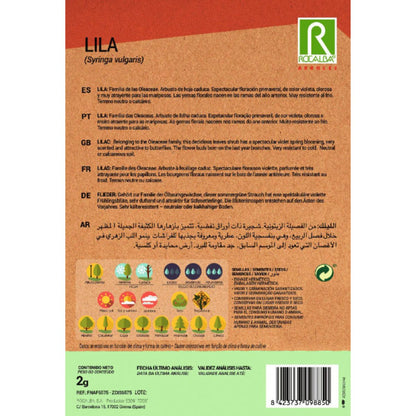 Graines de lilas Syringa vulgaris