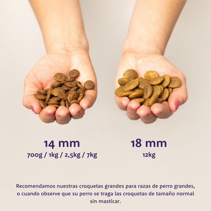 Mangime per cani Pollo ruspante Edgard & Cooper 1 kg