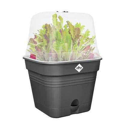 Vaso da coltivazione ALLIN1 Green Basics Elho Antracite 15 cm