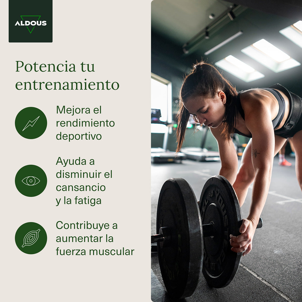 Kreatinmonohydrat Aldous 3000 mg 200 tabletter