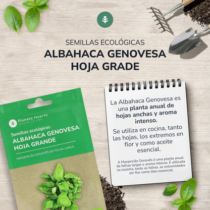Graines bio de Basilic génois Planeta Huerto