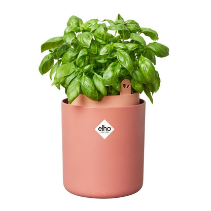 Maceta autoriego aromáticas Bouncy Basil Elho Terra