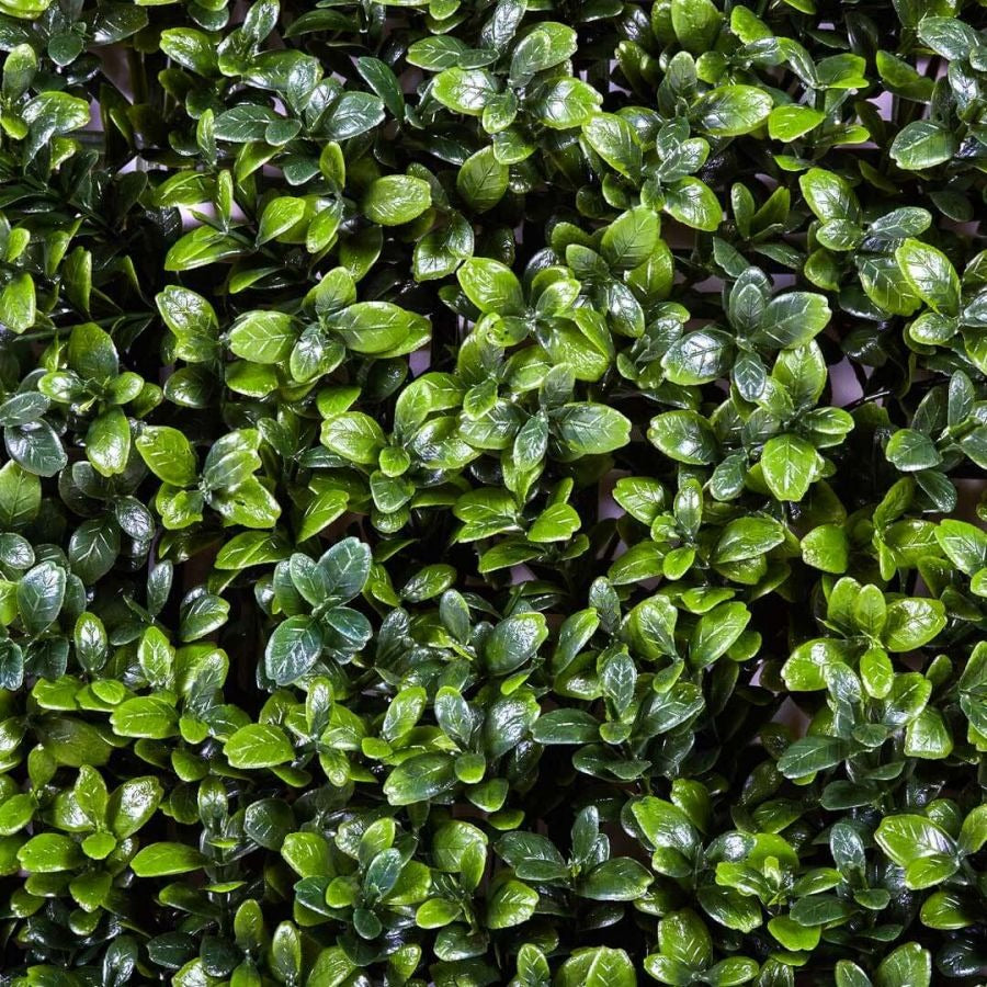 Vertikal konstgjord trädgård Buxus Nortene 1x1 m