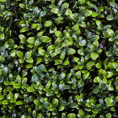 Vertikal konstgjord trädgård Buxus Nortene 1x1 m