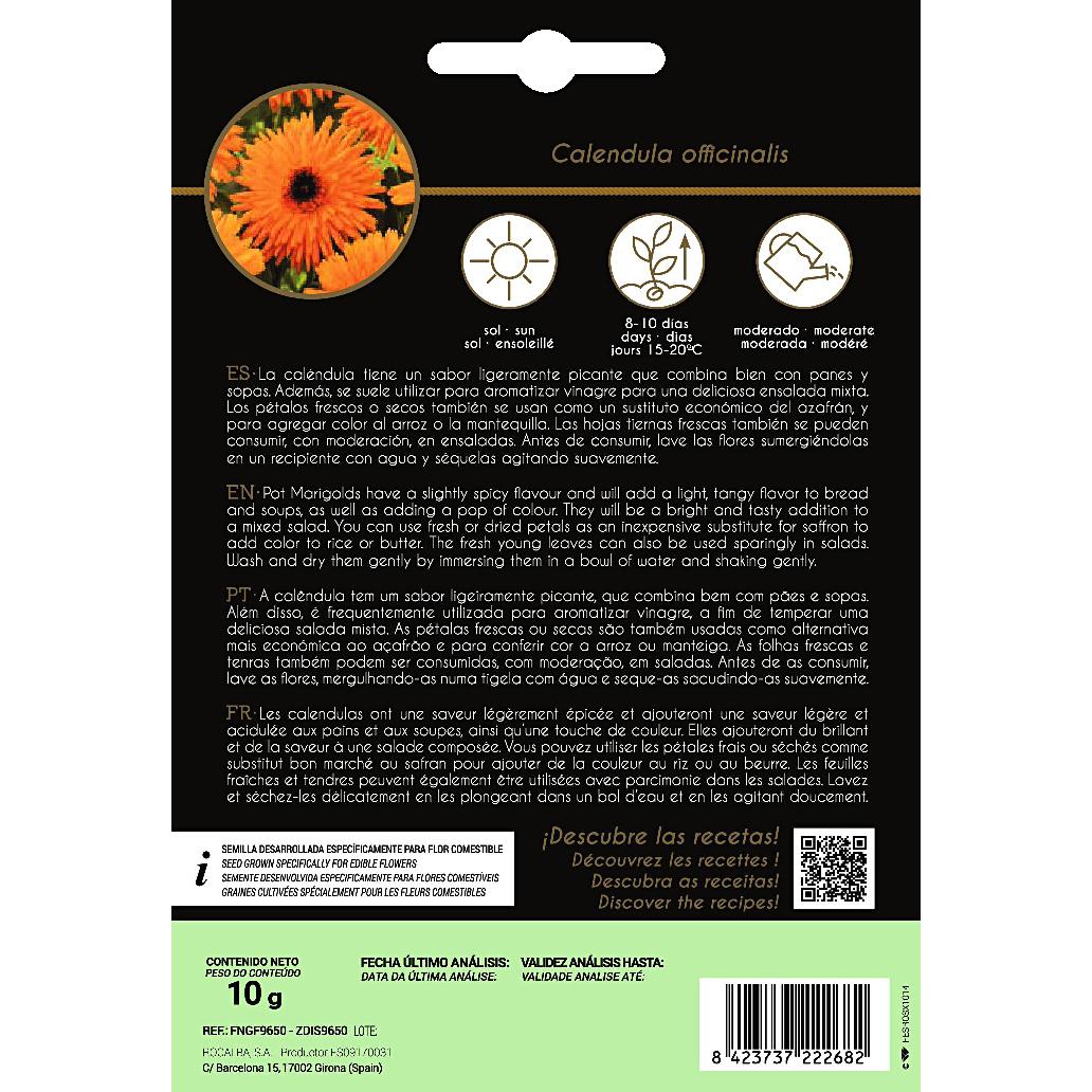 Essbare Blumensamen von Ringelblume Rocalba