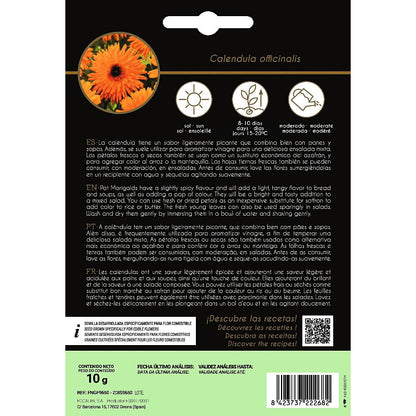 Essbare Blumensamen von Ringelblume Rocalba