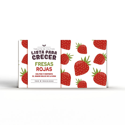 Tablette pour cultiver des fraises rouges, cadeau idéal, Garden Pocket