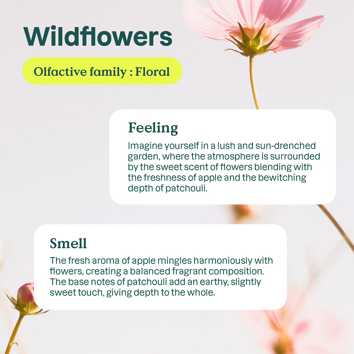 Wasverzachter  wilde bloemen 40 doses Attitude 1 L