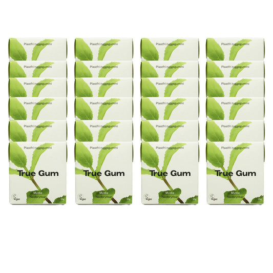 Opakowanie 24 sztuk gumy do żucia bez plastiku o smaku świeżej mięty True Gum 21 g