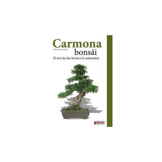 Carmona bonsai-guide
