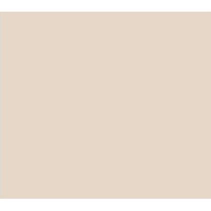 PEINTURE À LA CRAIE CP-38 NUDE 175