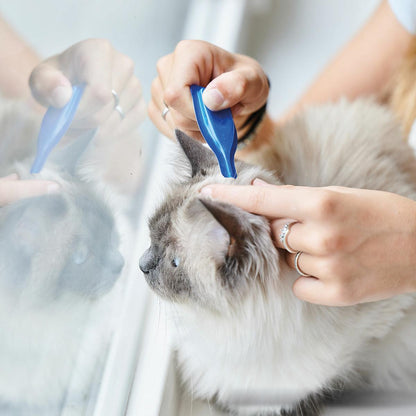 Calming Spot On  Pipettes apaisantes pour chats Beaphar 3x0,4 ml