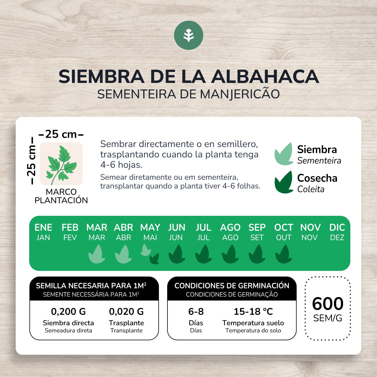 Graines bio de Basilic génois Planeta Huerto