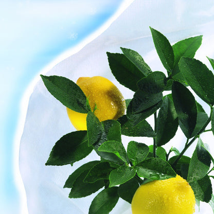 Pokrowiec przeciwmrozowy Hiversac Deco Nortene 3 szt.